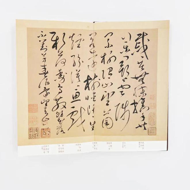 书法界一部惊为天人的字帖内藏20幅怀素真迹揭露古人“不传秘法”！(图9)