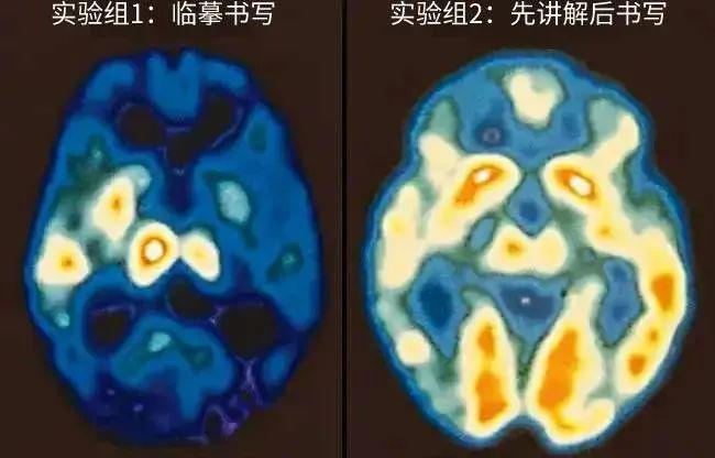 字迹潦草的孩子都后悔了！如何m6米乐练出一手好字家长再忙也要看！(图14)